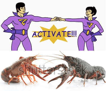jan_jana_lobsters