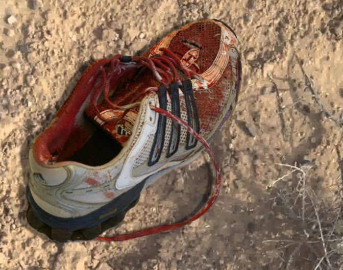 bloody_sneaker_2