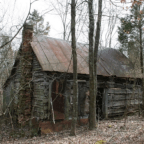 The Woods Are Filled With Them