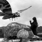 Monsters, Molyneux and Chomsky