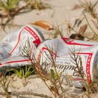 CELEBRATE RESPONSIBLY