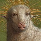Lamb of Jesus