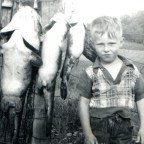 The Hollow Art of Dreaming