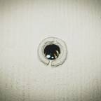 Pain, Pleasure & Reason